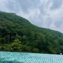 곰달래 스파사우나(구 조약돌사우나) | 온천스파 리조트 제천온천즐기기ㅣ리솜포레스트 해브나인스파 당일치기 후기