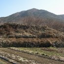 천성진성 이미지