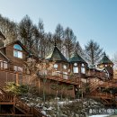 숲속의요정 이미지