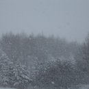 처남목장 이미지