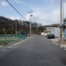 대전근교 강아지운동장 대관 포동 멍래블 후기(feat.막둥이네마당)
