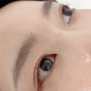 대전 둔산동속눈썹펌 로나브로우 바짝컬 잘하는 곳