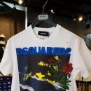 여주-0743 이미지