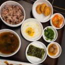 힐링애견샵 이미지