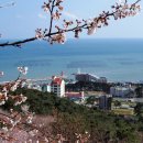 대웅목장 이미지