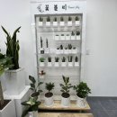 러블리 노래연습장 이미지