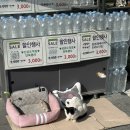 CU 선유도역점 이미지