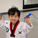 용인대 태권마루 태권도장 이미지