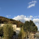 해월 | [고흥] 고흥 오션뷰 자쿠지, 감성 프라이빗 독채 숙소 ‘해월평원’ 후기