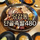 단골족발480