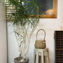 달뷰스테이 이미지