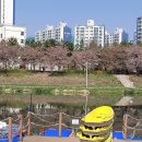 🛶안산호수공원에서 카약체험하기🛶