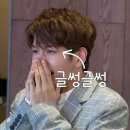 블리 이미지
