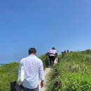 제주도 스냅사진 1시간 촬영으로 청량한 커플 스냅 올레감사 제주스냅