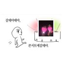 위시빌리 | 2025 경주 APEC 뮤직페스타 관람후기 ♡ 킥플립 엔시티위시 빌리 최예나 온앤오프 원어스 이즈나 하츠투...