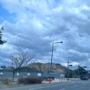 세종동_전월산 무궁화 테마공원 이미지