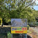 경주 아이와 가기 좋은 글램핑 | 산내자연캠프