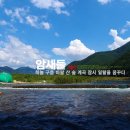 (주) 암새들 네이버블로그