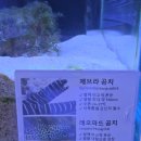 에스아쿠아 앤 카페
