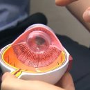 폰PC 이미지