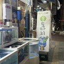 회랑세꼬시 | 동탄 남광장 도다리 맛집｜유쾌한회 세꼬시 솔직 후기 (웨이팅, 메뉴, 가격)