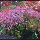 금강공원2 이미지