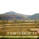 강변오토캠핑장2 이미지