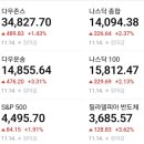 (주)마이크로사이언스테크 이미지