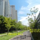 합성동282 이미지