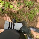 지리산 거림~대원사 산행