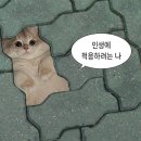 들의교 | [롯데월드 알바] 아트란티스 캐스트 후기 🎢