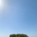 신반주유소 네이버블로그