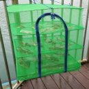 여수밤바다 펜션 이미지