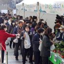 희망의 나무 이미지