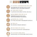 퍼피댕 안심분양소 강아지분양 애견입양 천안아산점 이미지