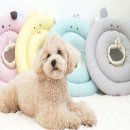 베프컴퍼니 이미지