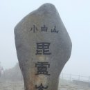 채*정 이미지