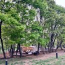 구석기체험숲1 이미지