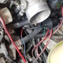 엘란연구소 이미지