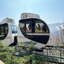 수목원레저 | 곤지암 화담숲 아이와 다녀온 후기 예약 방법 주차장