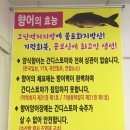 초읍동-12 | 초읍동 횟집 향어회 전문 철계점