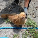 도청대로93번길 이미지