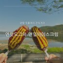 양평 두물머리 간식거리 연핫도그와 내가 정말 좋아하는 연잎 아이스크림 후기