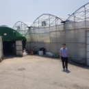 농축산농장 이미지