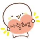 한빛블라인드 이미지