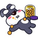 레인바우애견카페 이미지