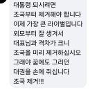 이재명 지지자 "대통령 되시려면 조국부터 제거해야 합니다" 이미지