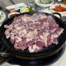 햇살마루청둥오리 이미지