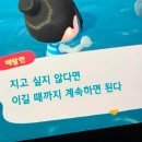 눈꽃새펜션 | 25.01_계속하면 뭐라도 돼요