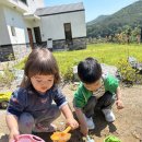 Daycare pictures 조이풀 사진 ☀️⛱️😎 이미지